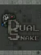 Dual Snake