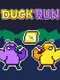 Duck Run