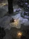 Dungeonforge