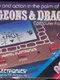 Dungeons & Dragons Computer Fantasy Game