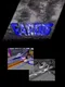 Eardis: Revolution Force