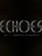 Echoes: Operation Stranglehold