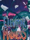 Elevator Madness
