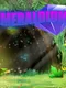 Emeraldium