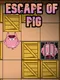 Escape of Pig