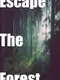 Escape The Forest