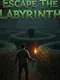 Escape The Labyrinth