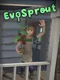 EvoSprout