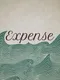 Expense