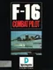 F-16 Combat Pilot