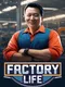 Factory Life
