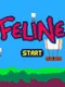 Feline