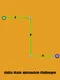 Finite State Automaton Challenges