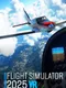 Flight Simulator 2025 VR