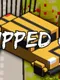 Flipped On