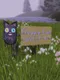 Floppy Cat Adventures