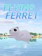 Flying Ferret
