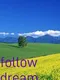 Follow Dream