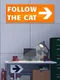 Follow The Cat