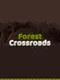 Forest Crossroads