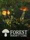 Forest Doesn’t Care