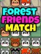 Forest Friends Match
