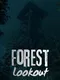 Forest Lookout