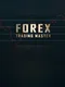 Forex Trading Master: Simulator