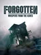 Forgotten: Whispers From Ashes