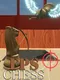 FPS Chess