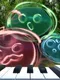 Furusoma