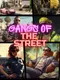 Gangs of the street