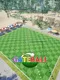 Gateball VR