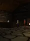 Genesis Online