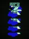 Geomoth Boot Sequence