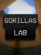 Gorillas-Lab
