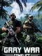 Gray War Conflict