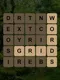 Grid Words