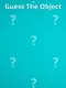Guess The Object