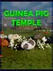 Guinea Pig Temple