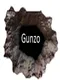 Gunzo!