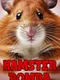 Hamster Bomba