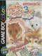 Hamster Paradise 3