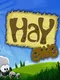Hay Ewe