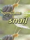 HgmGame-Snail