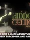 Hidden Celtics