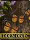 Hidden Object: Garden Party
