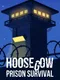 Hoosegow: Prison Survival