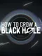 How to Grow a Black Hole