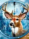 Hunting Animals - Shooting Simulator